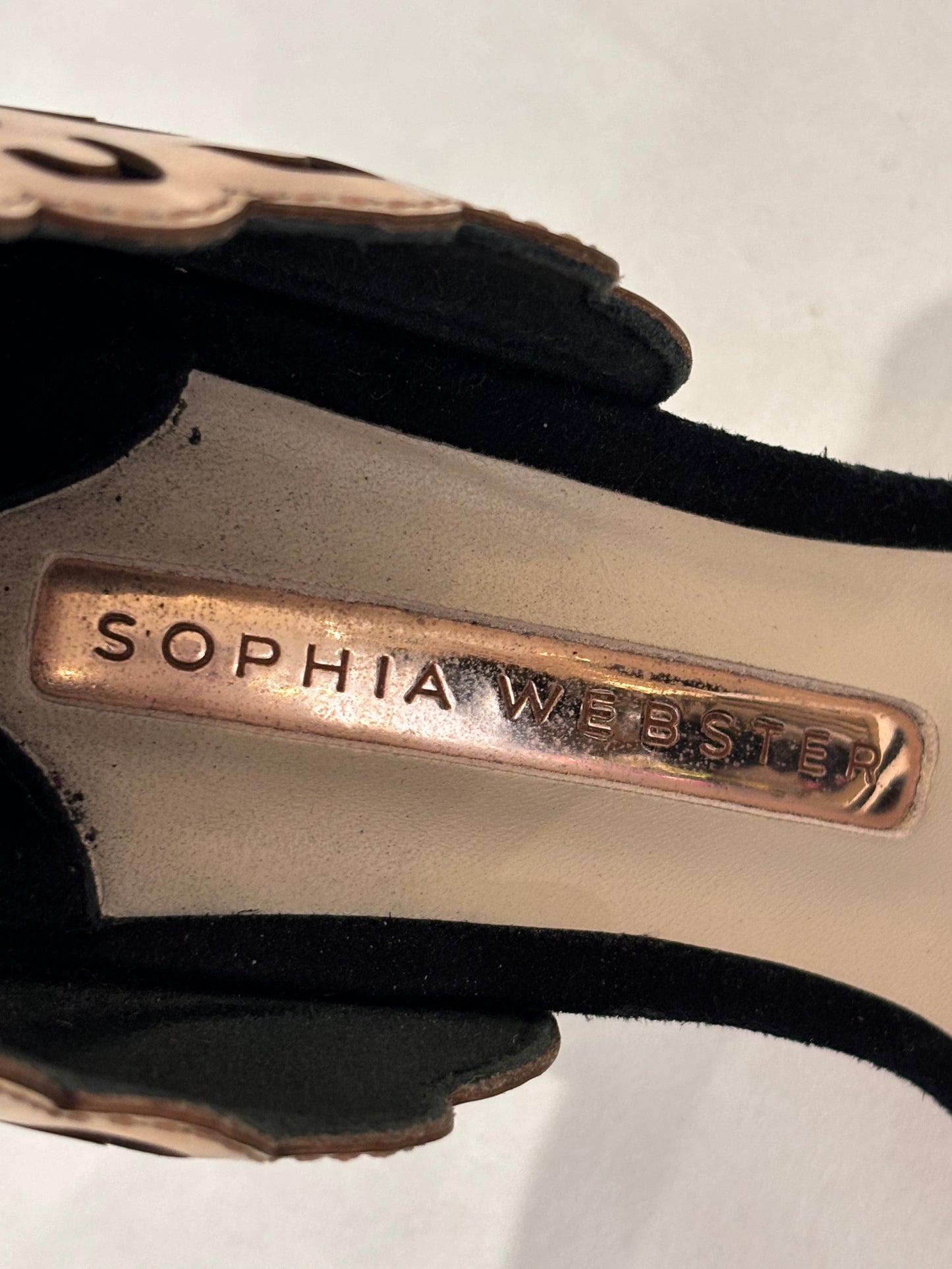 Sophia Webster