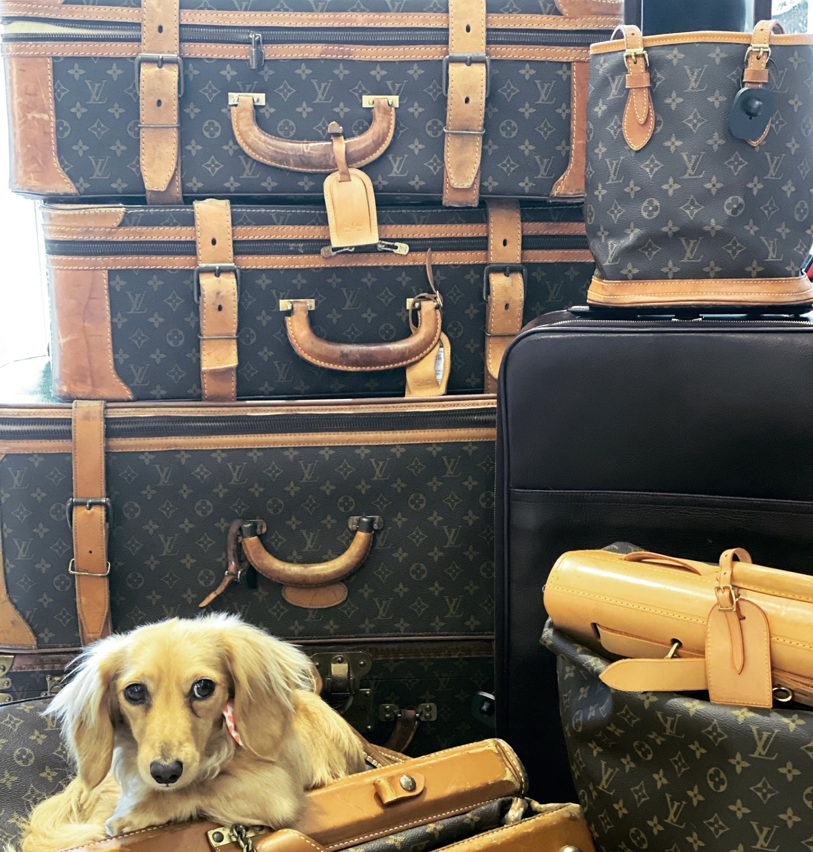 Designer Resale | Bags, Shoes, Clothing & Accessories – Encore Plus