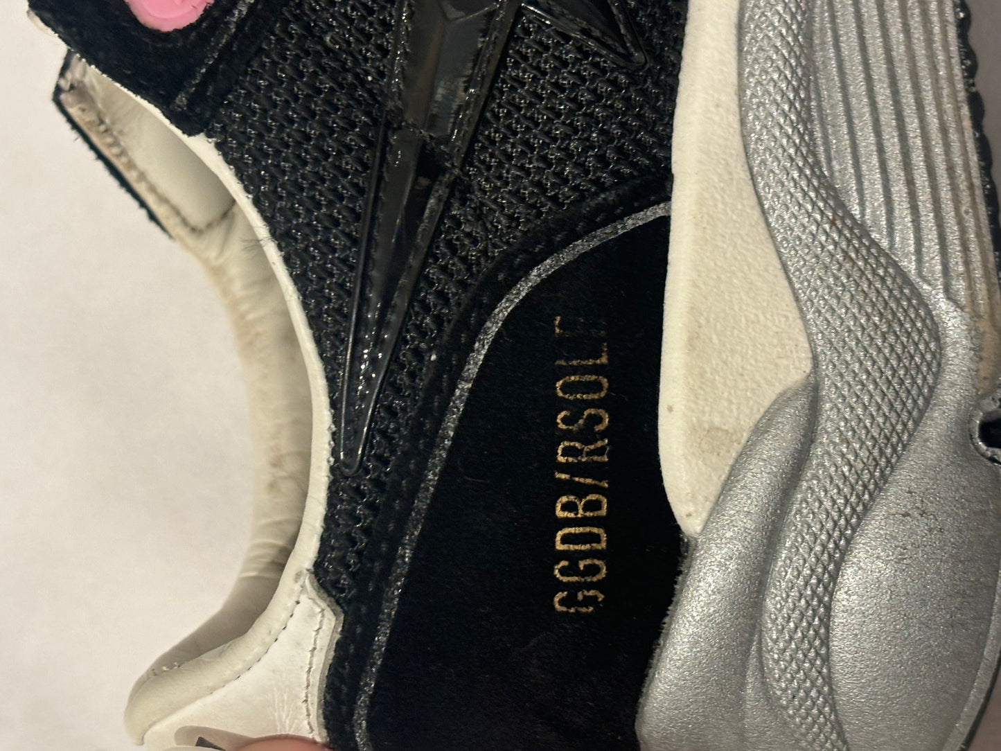 Golden Goose